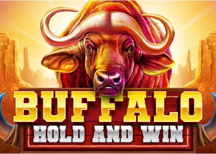 Buffalo Win – победа с поддержкой дикой природы